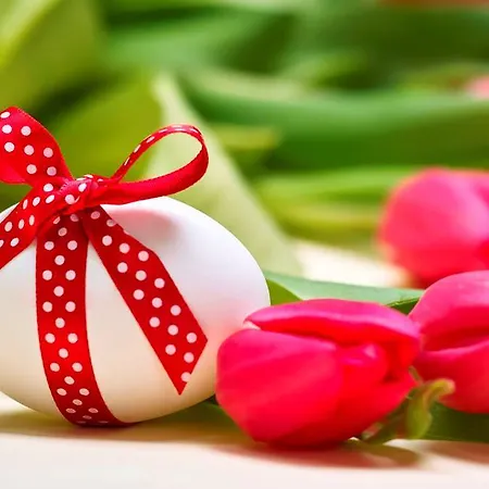 Elaya Hotell Kleve (Dusseldorf)